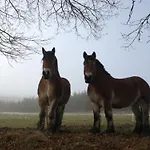 Fewo-rosenberger-sauerland 아파트 *